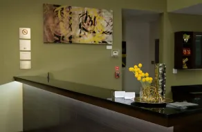 Malana Hotels & Suites - Réception