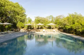 Château Hermitage de Combas - Pool