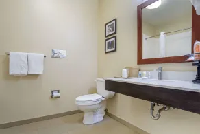 Comfort Inn Greenville I-65 - Badeværelse