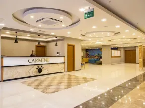 Carmine Otel - Rezeption