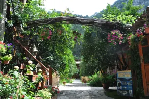 Turkmen Tree Houses - Resepsjon