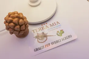 TERRA MIA - Reception