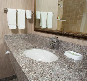 Drury Inn & Suites Columbia Stadium Boulevard - Salle de bain