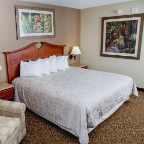 Treasure Island Resort & Casino - Chambre