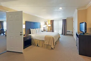 Holiday Inn & Suites San Mateo - SFO by IHG - Chambre