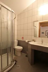 Boutique Hotel Skamnos Arachova - Bad
