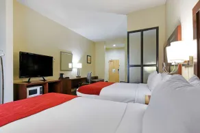 Comfort Suites Fultondale I-65 near I-22 - Chambre