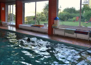 Hotel Zur Mühle - Pool