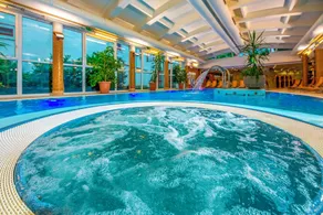 Dráva Hotel Thermal Resort - Pool