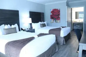 Palm Garden Hotel - Chambre