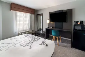 Sleep Inn Spartanburg Southwest - Camera