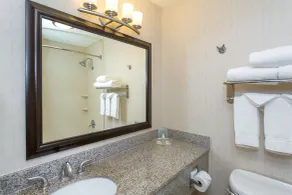 Holiday Inn Bloomington-University Area by IHG - Badrum