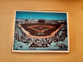 Comfort Suites Peoria Sports Complex - Réception