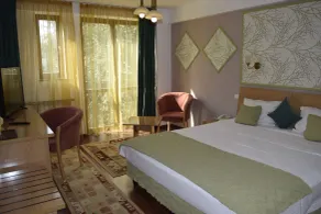 Hotel Michelangelo - Room