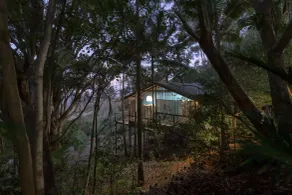 Treetops Seaview Montville - Rum