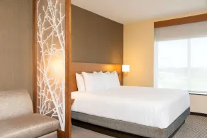 Hyatt Place Flint/Grand Blanc - Chambre