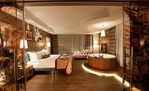 Kaya Palazzo Ski & Mountain Resort - Room