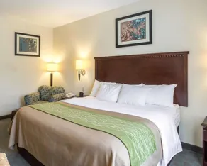 Quality Inn Donaldsonville - Gonzales - Chambre