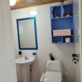 Soulmate Pension - Baño