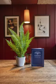 The Sheep on Sheep Street Hotel - Reception