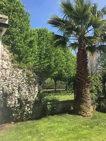 Hostal Pension Artilleiro - Vue de la chambre