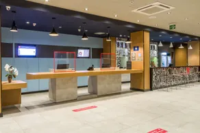 Ibis Americana - Reception