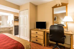 Econo Lodge Inn & Suites Huntsville University Area - Habitación