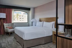 Hotel Zessa Orange County Airport, a DoubleTree by Hilton - Chambre