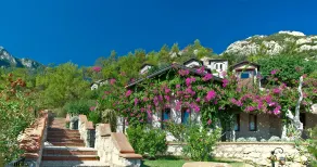 Dionysos Hotel - Reception