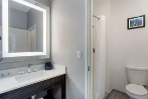 Comfort Inn & Suites Memphis East - Salle de bain