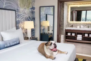 Hotel Indigo Flushing - LaGuardia - Chambre