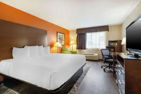Best Western Inn & Suites New Braunfels - Chambre