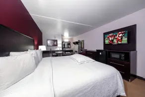 Red Roof Inn PLUS+ Huntsville – Madison - Zimmer