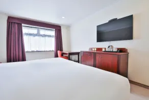 Copthorne Hotel Cardiff-Caerdydd - Habitación