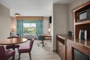 Hilton Garden Inn Tampa North Busch Gardens - Chambre