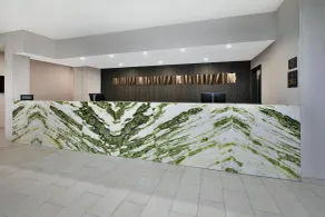 DoubleTree by Hilton Detroit Novi - Réception
