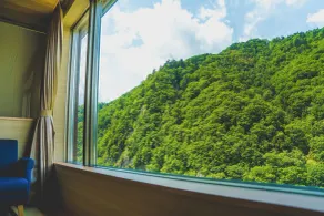 Grand Blissen Hotel Jozankei - View from room