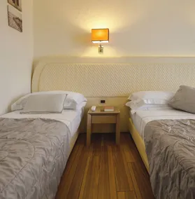 Hotel Alexander - Chambre