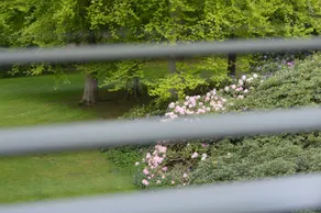 Hotel Woudschoten - Vue de la chambre