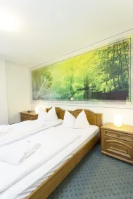 Spree - Waldhotel Cottbus - Værelse