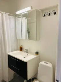 Magnifico appartamento accogliente e familiare - Bagno