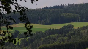 Hotel Gasthof Zum weissen Lamm - Vista do quarto