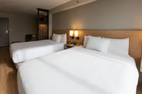Hyatt Place Roanoke Airport / Valley View Mall - Chambre