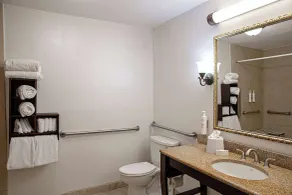 Hampton Inn Charleston-Historic District - Salle de bain