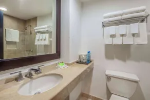 La Quinta by Wyndham Poza Rica - Badezimmer