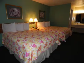 The Lodge - Chambre