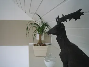 Haus Tourneur - Room