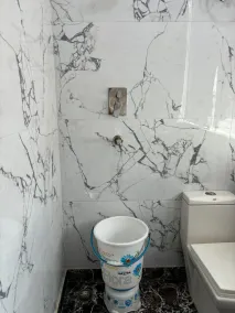 Hotel Akash Continental - Bathroom