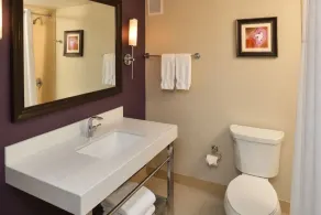 DoubleTree by Hilton Hotel Orlando East - UCF Area - Salle de bain