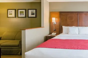 Comfort Suites Wytheville near Conference Center - Chambre